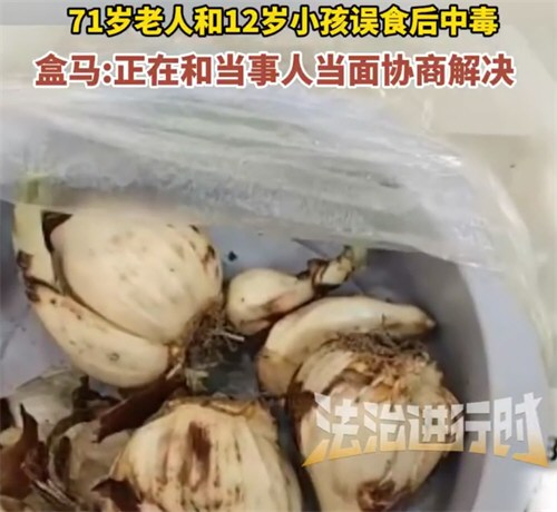 盒马误送有毒水仙球致老人孩子中毒