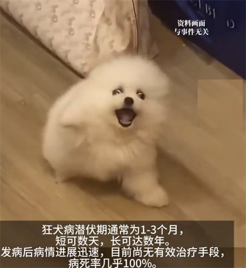 女子因幼犬轻咬未处理引发狂犬病 女子因幼犬轻咬未处理引发狂犬病