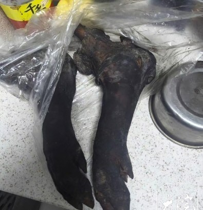 吃猪脚被卡喉10岁男孩现已去世