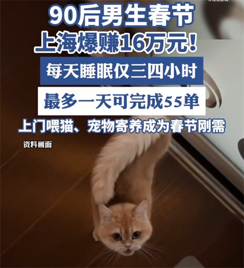 男生回应春节上门喂猫爆赚16万 男生回应春节上门喂猫爆赚16万