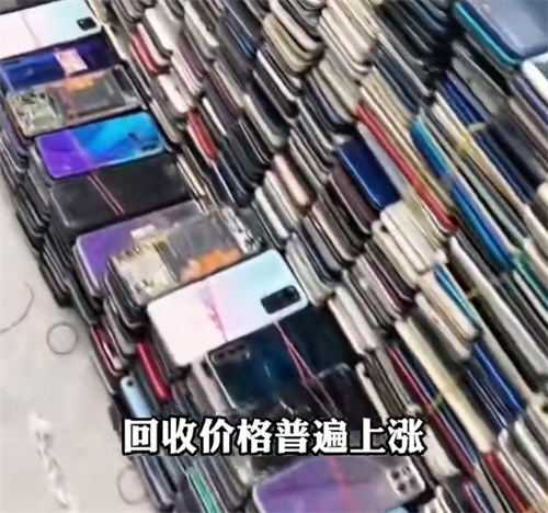旧手机回收价暴涨五六倍