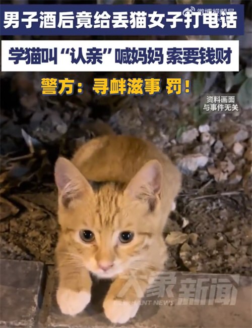 男子学猫叫认亲被处罚