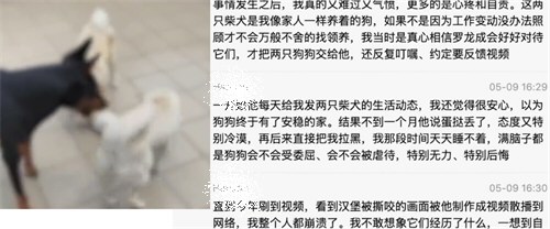 男子骗养20多只狗供烈犬撕咬被刑拘
