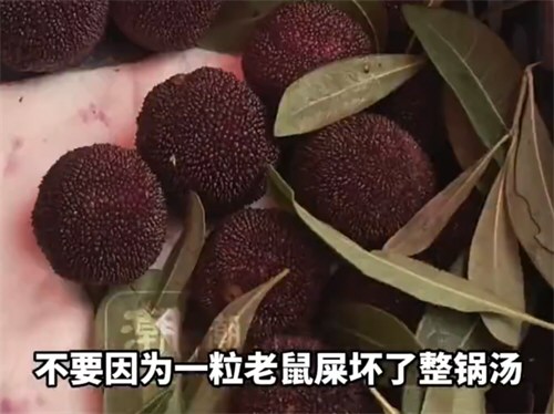 杨梅泡药事件冲击浙江杨梅市场%
