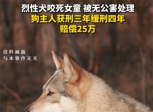 烈性犬咬死2岁女童主人赔25万