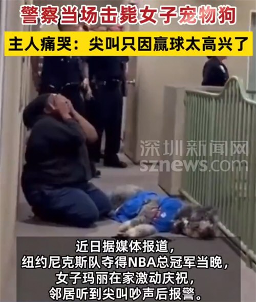 美国女子因赢球尖叫宠物狗遭击毙