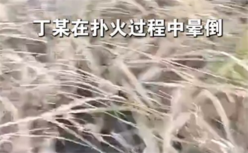 女孩点燃野草父亲扑火不幸身亡