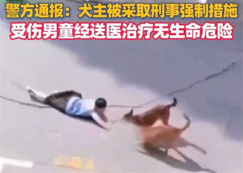 上海警方通报两犬撕咬幼童拖行