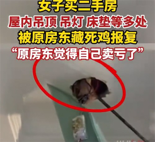 房东觉得房子卖亏了报复买家 房东觉得房子卖亏了报复买家