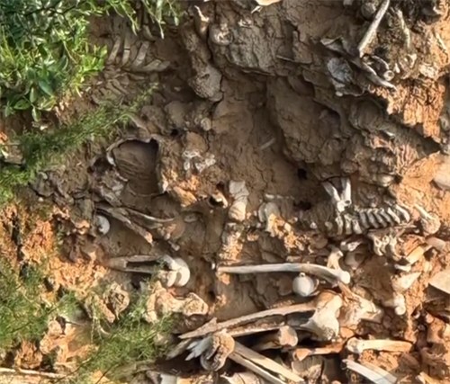 山西运城一路面塌陷处现大量白骨