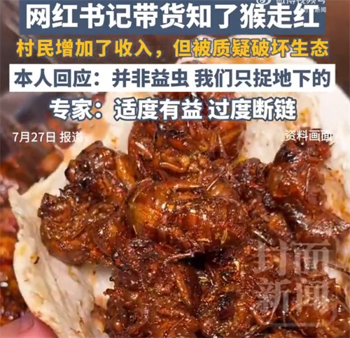 网红书记带货知了猴被指破坏生态