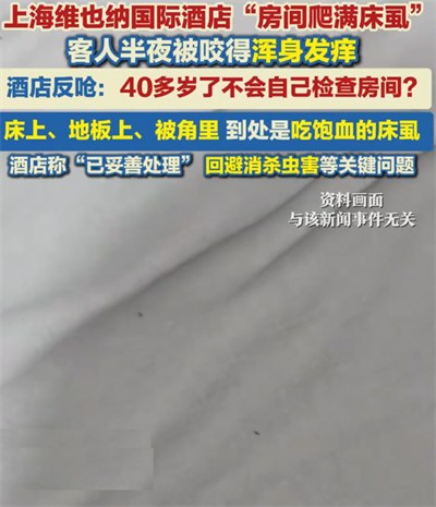 维也纳国际酒店客房遍布吸饱血的床虱