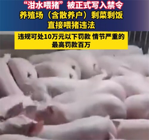 剩菜剩饭直接喂猪违法