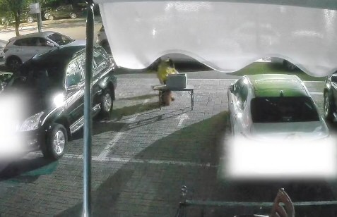 女子凌晨倒掉24瓶爱心水被拍下