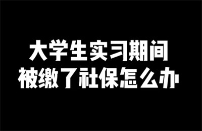 硕士生因被偷缴社保无法考编