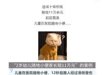 2岁幼儿随地小便家长被判赔11万 幼儿随地小便致人摔倒伤残