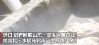 工人排水口小便后捞出死鸭送车间 污水捞死鸭再回生产线