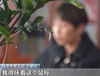人没动但科目一自动答题考过了 团伙操纵考场电脑代考被一窝端