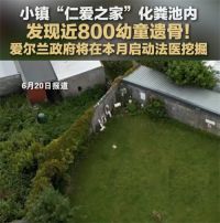 爱尔兰化粪池现近800幼童遗骨 爱尔兰将启动化遗骨法医挖掘