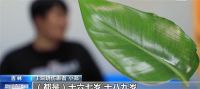 央视曝光有学生吸食火机气体成瘾 男子吸食火机气体再抽烟引发爆 炸