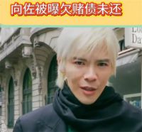 向佐被曝欠赌债未还 美高梅到香港区域法院讨债