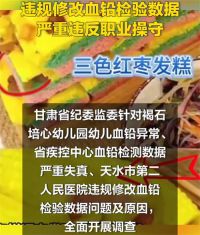 天水第二人民医院修改过血铅数据 医院竟然修改血铅检验数据