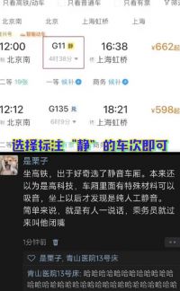 坐高铁因为好奇选了静音车厢 高铁静音车厢怎么选