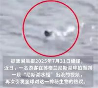 尼斯湖水怪再次被拍到 游客尼斯湖畔散步发现神秘黑色身影