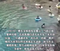 白马山失联5人均已遇难 广东惠东县通报游玩失联后续