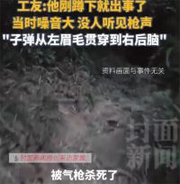 工人农田上厕所时被枪击身亡 警方回应工人上厕所时被枪击身亡