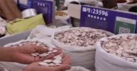 贷款200多万进中药赚了36元 中草药价格坐上过山车