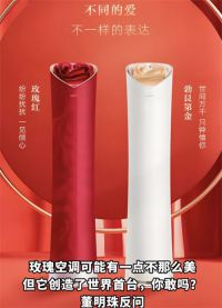 董明珠再回应玫瑰空调争议 格力玫瑰空调被吐槽又贵又丑
