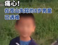 大理苍山失踪8岁男童不幸遇难 男童失踪夏令营组织方疑为家政公司