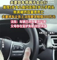 女儿调座椅压死儿子家长索赔车企 5岁女童调座椅压到弟弟头致死