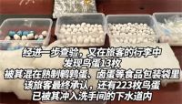 男子在机场用马桶冲走223枚鸟蛋 海关从下水道里救回鸟蛋