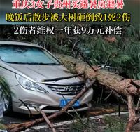 3女子买房避暑被树砸致1死2伤 2伤者维权一年获9万元补偿