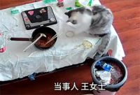3万金镯子被猫推进垃圾桶后扔了 3万金镯被猫玩丢