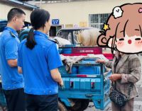 女子拉泔水喂猪被处罚 当地回应女子拉泔水被处罚