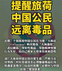 中国旅客在荷兰吸食毒品行为失控 旅荷中国公民远离毒品