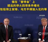 普特会上俄方4项停火条件曝光 俄方停火四项条件曝光