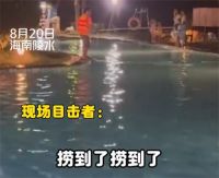 五星级酒店泳池里有蛇 五星级酒店称蛇跑进泳池是自然现象