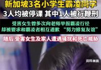 新加坡小学生霸凌他人被执行鞭刑 新加坡3名小学生霸凌同学被停课