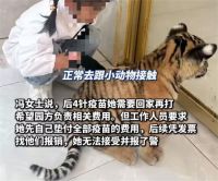 7岁女童在动物园被小老虎咬伤 多方回应女童被小老虎咬伤