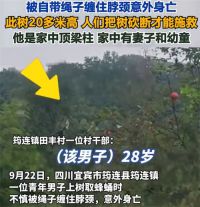 28岁男子上树被自带绳子缠脖身亡 男子上树取蜂蛹时不慎身亡