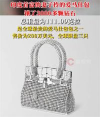 印度首富妻子的爱马仕镶了3025颗钻 最贵爱马仕包售价200万美元