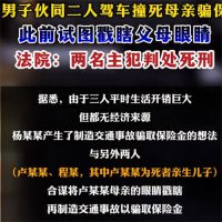 男子伙同二人驾车撞死母亲骗保 男子多次给父母设局骗保母亲死亡