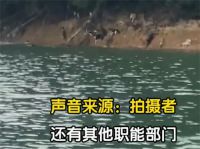警方正追查水库放生猫人员 多人在水库岸边放生猫目击者发声