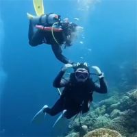 三亚回应潜水员水下关女潜友气瓶 PADI配合调查潜水员关潜友气瓶事件