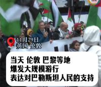 英法爆发大规模游行抗议以色列 声援巴勒斯坦人民国际日