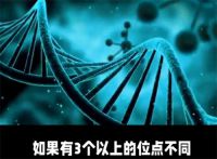 亲子鉴定遭拒男子将妻子踢成轻伤 男子欲给女儿做亲子鉴定遭妻子阻拦